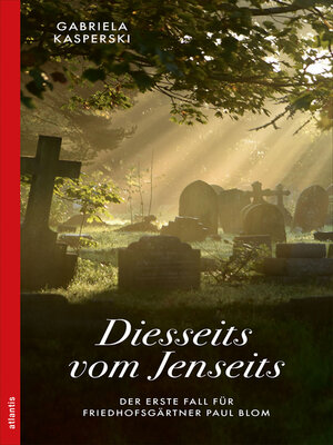 cover image of Diesseits vom Jenseits